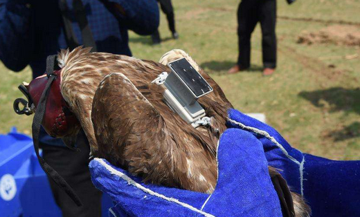 2336ee649f254ff5be5fa7feca1c105e.png QQ截圖20191112135332.png